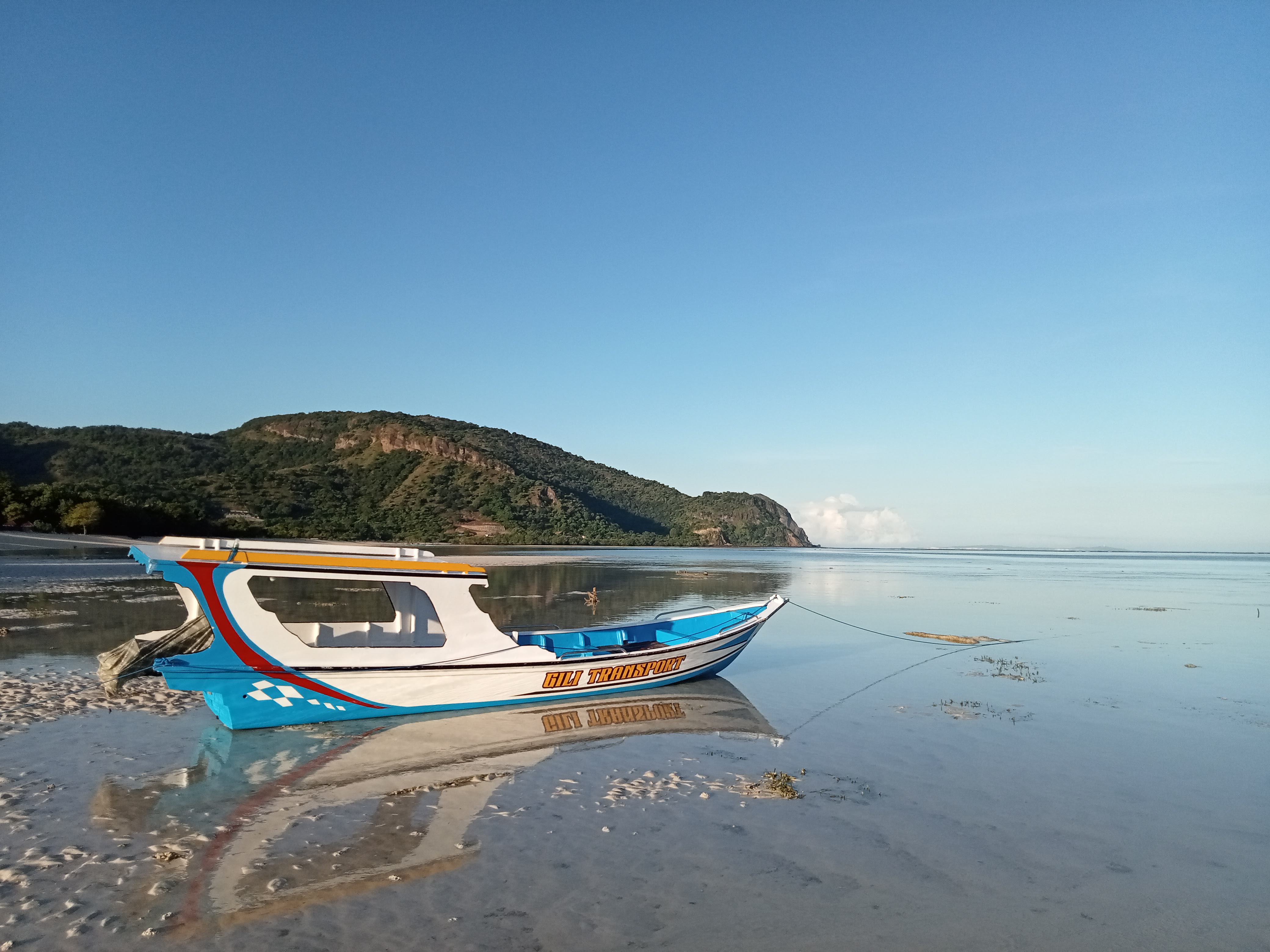 Boat trips